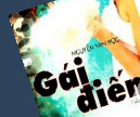 Gai-diem-(tieu-thuyet).jpg