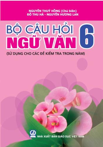 Bộ câu hỏi Ngữ văn 6 (sử dụng cho các đề kiểm tra trong năm)