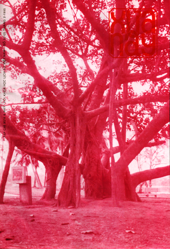 Xưa & Nay số 2 (12) (tháng 2.1995)
